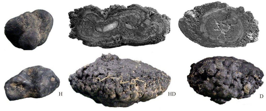 Polymetallic Nodules – IOM